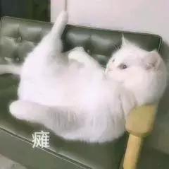 吐血整理！超全Excel数据筛选方法，你还没get吗？