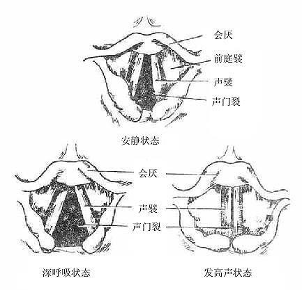 唱歌大白嗓声音发虚,唱歌技巧虚音