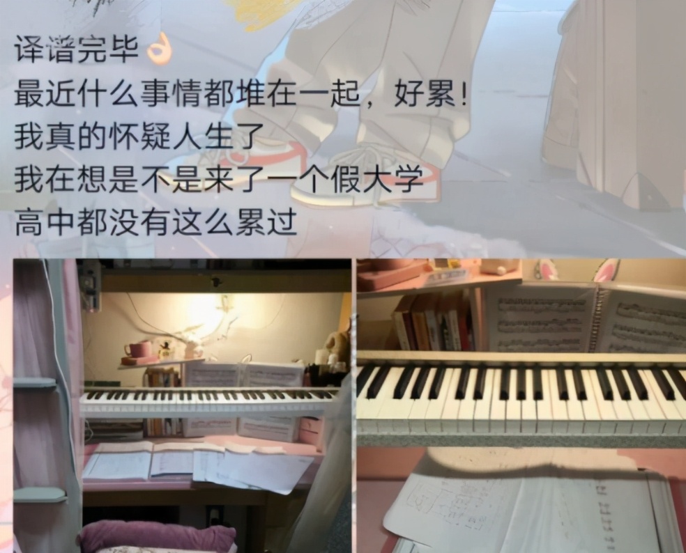 法学专业论文查重,不同专业毕业论文查重
