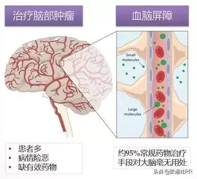 盛山资产管理有限公司于越,盛山资产最新消息