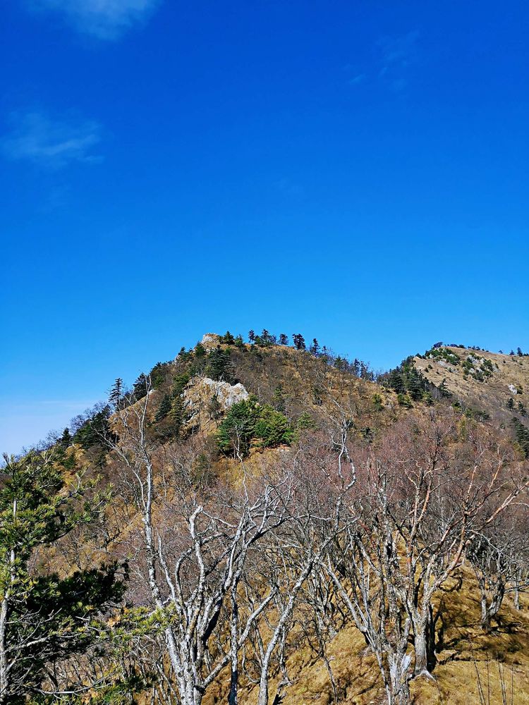 20201101惊悚之行～首阳山大坪梁单日横穿+原返