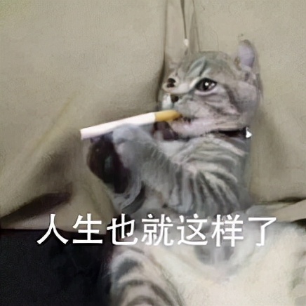 微胖纸片人秋冬小香风外套,微胖女孩搭配法则让你瘦成纸片人