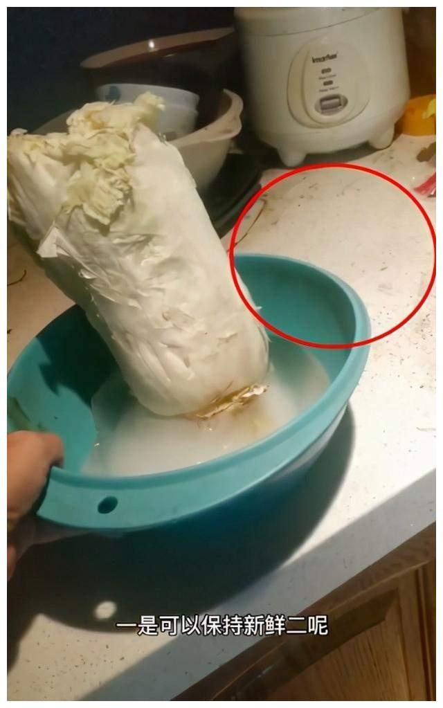 红极一时的阿宝现状,阿宝的心酸有多可怕