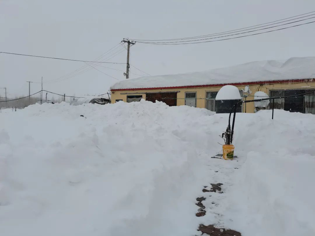 浴血奋战严寒,内蒙古通辽遭遇雪灾