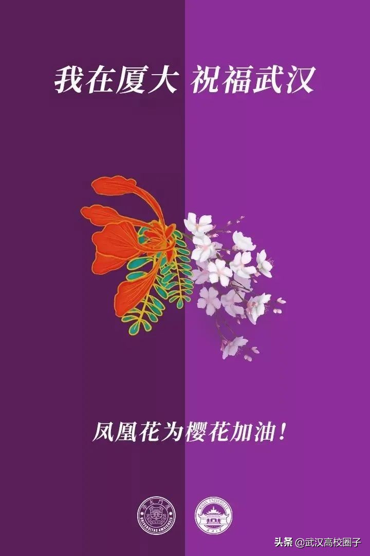 爸妈我想回家视频,爸妈我想回家了原视频