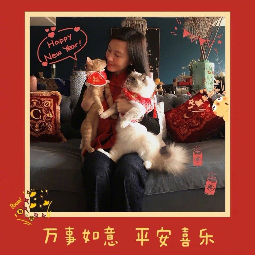 朱孝天与林熙蕾被狗仔队曝光,朱孝天与梁泳琪