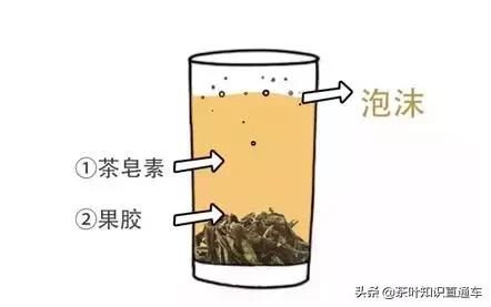 大红袍怎么选,大红袍常识大全