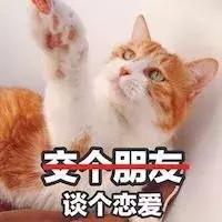 100个驯服动物的冷知识,6条养猫冷知识