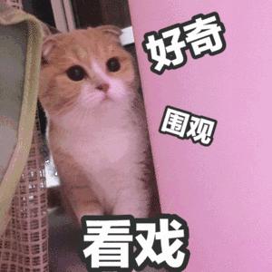 “我不能忍受诺贝尔奖的存在，它伤害了我。”