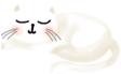 中国猫的雅称,猫生百态包括什么