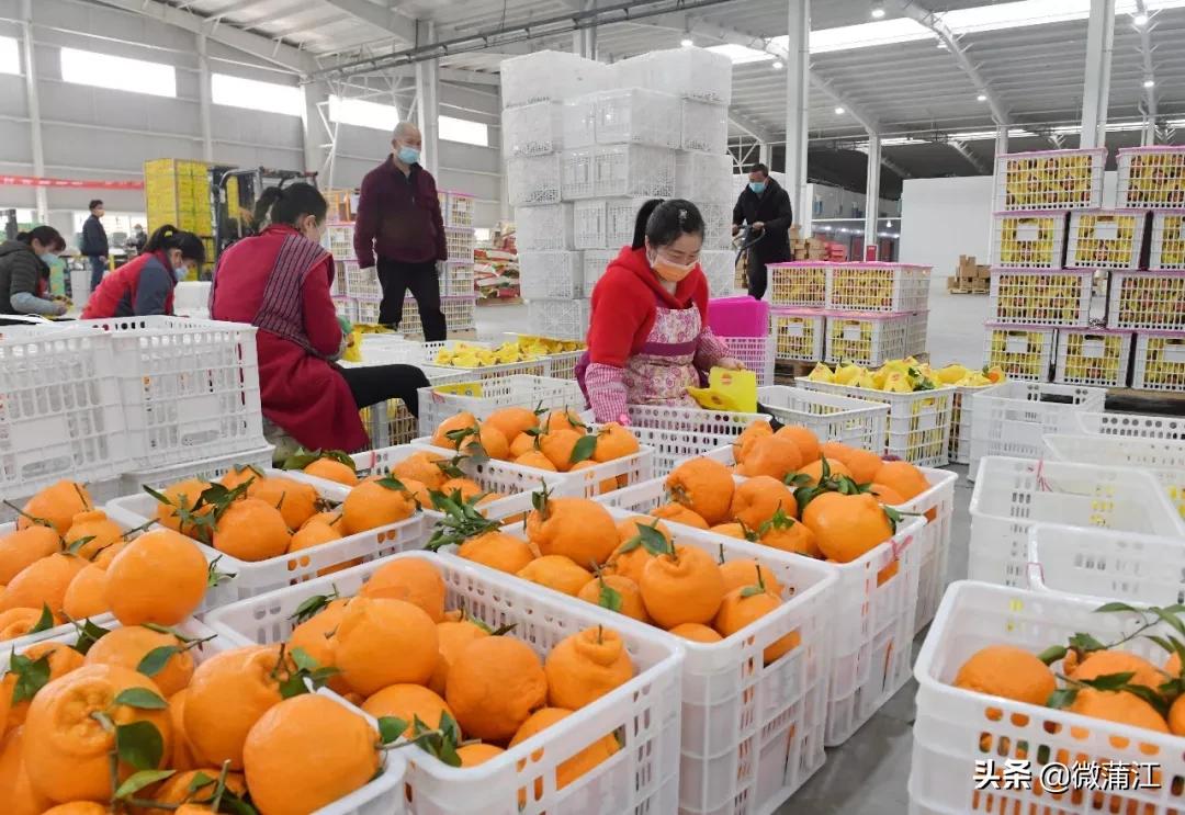 牛牛牛！这个地方农产品电商出售迈进2019全国50强，名列19位