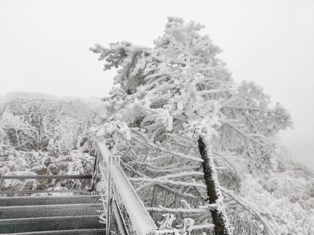 大寒潮小寒潮,寒潮带来大范围降雪