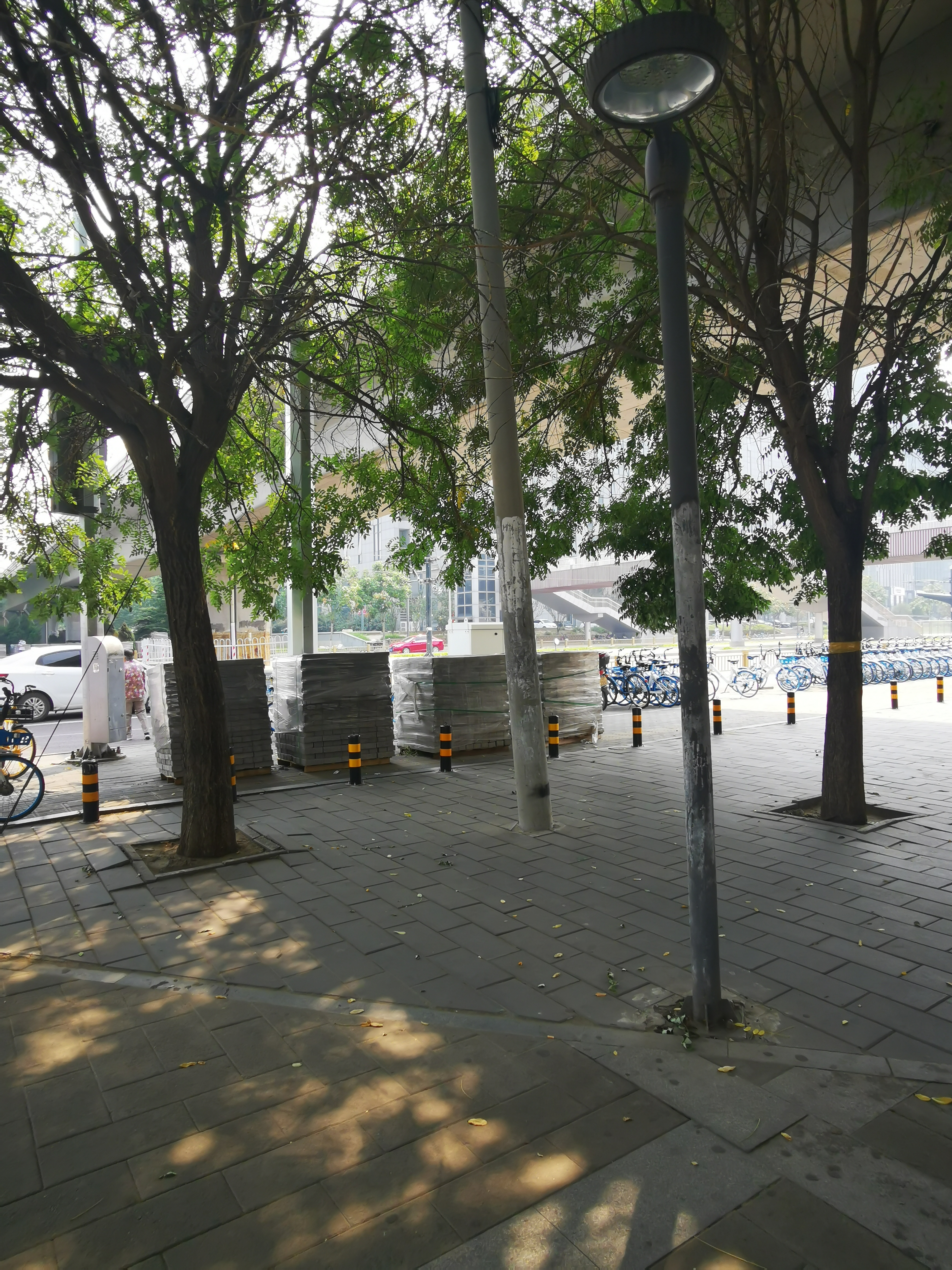 如何使民不为盗？要爱民利民，还要＂使民无知无欲＂，对吗？