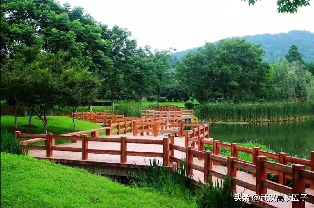 武汉东湖游玩攻略骑行路线,来武汉东湖绿道打卡玩法全攻略