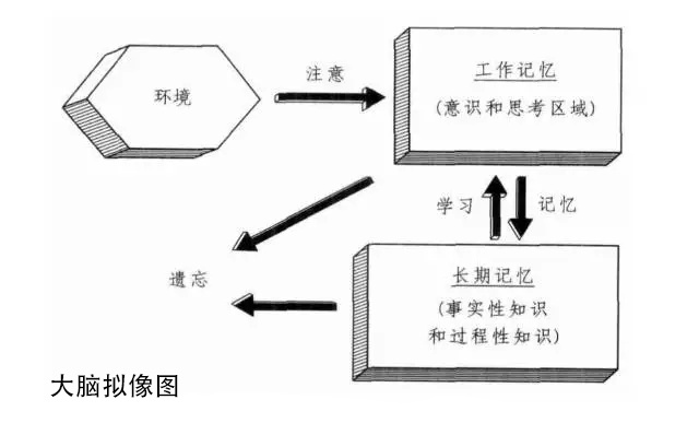 为什么刚刚记住的东西一会又忘记,为什么刚看完的内容回头就忘