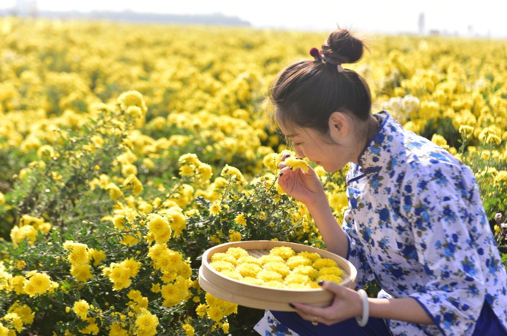 骄傲中国田径第一冠,中国骄傲一等奖视频