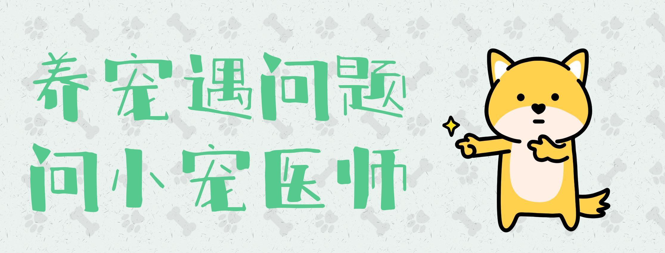 狗狗乱吃东西会得细小么,狗狗乱吃异物会咋样