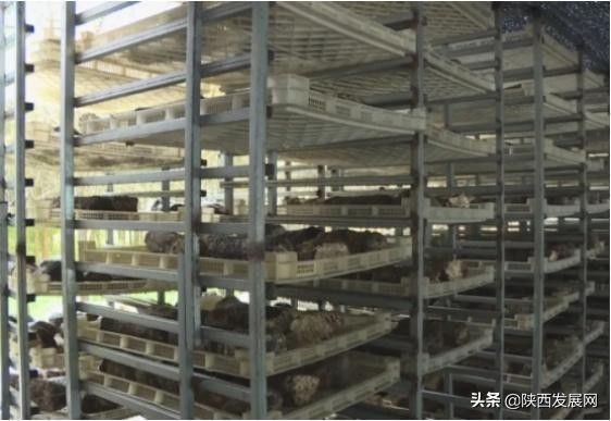 略阳县重点工程,略阳今年重点项目有哪些