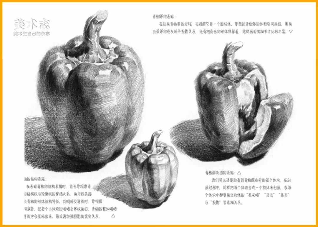 素描常见水果,适合新手的100幅素描画蔬菜水果