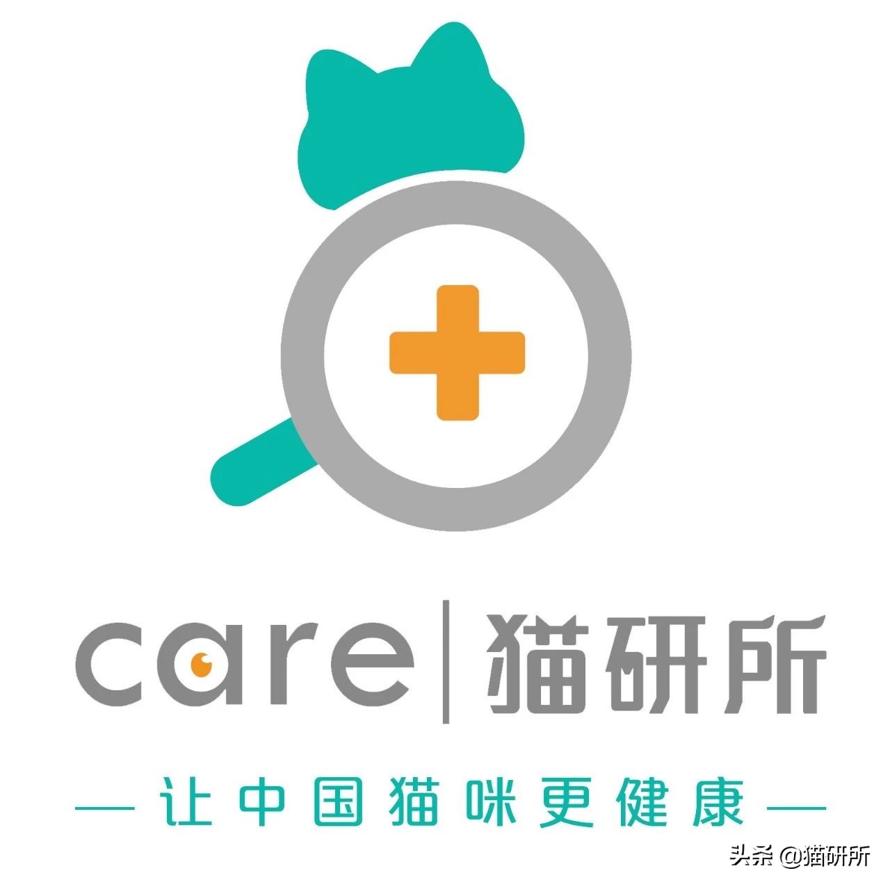 猫咪得了猫癣怎么办可以自愈吗,猫咪得了猫癣怎么办可以打疫苗吗