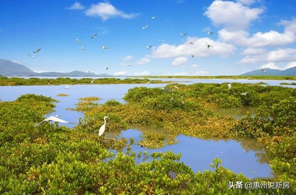 惠州巽寮湾富力湾,惠州巽寮湾富力湾楼盘最新信息