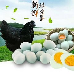 快速带你了解绿壳鸡蛋,揭秘绿壳鸡蛋