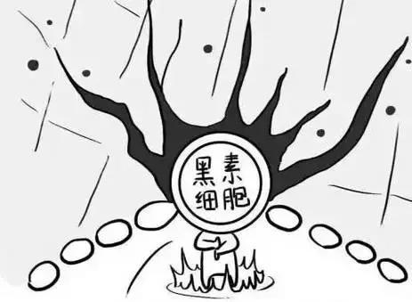 护肤讲堂知识大全,有斑皮肤护肤指南