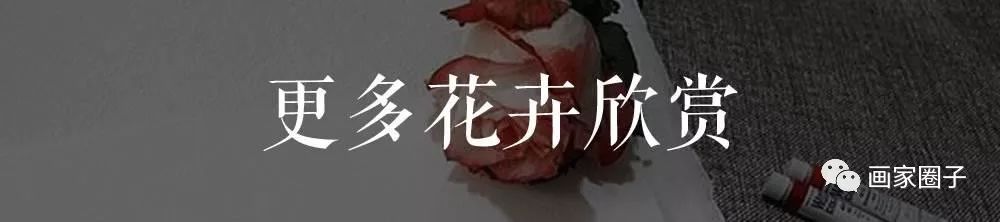 100种漂亮花卉图片,100张漂亮花图