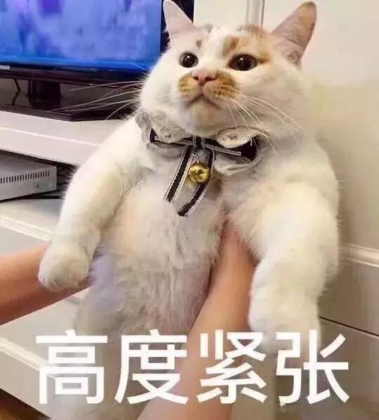 大牌平价护肤品必入单品,大牌和平价护肤品真的不一样吗