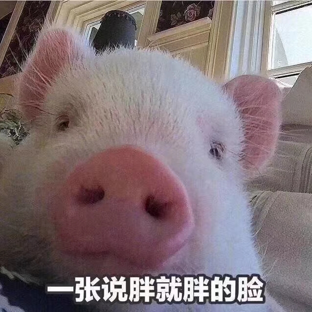 仙剑奇侠传十年人间,仙剑十年传奇