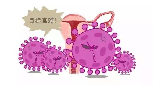 协和专家：感染HPV病毒不要怕，80%就像感冒，可自愈