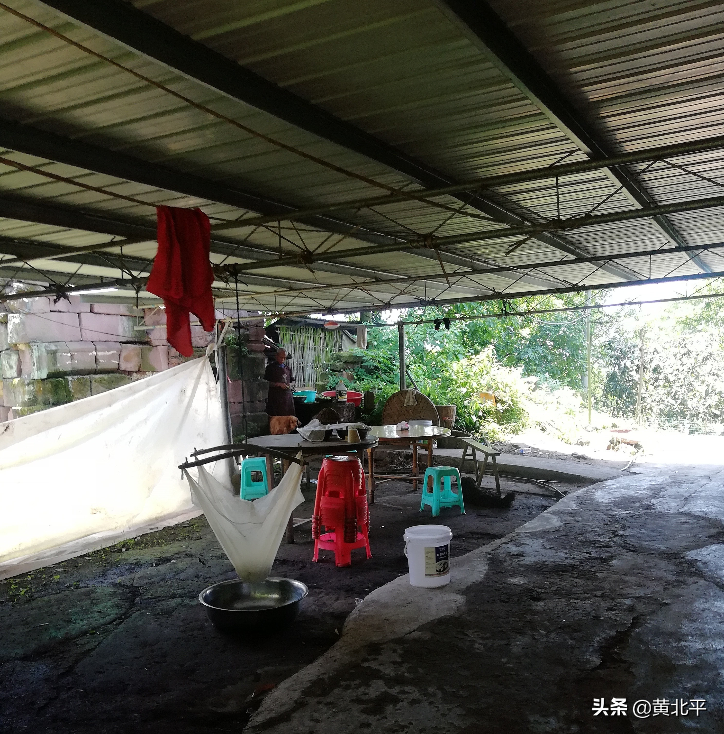 北碚深山寺庙,深山密林的神秘古刹