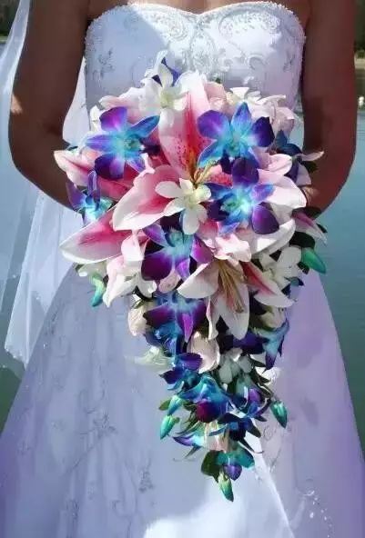 世界十大罕见花卉,世界名贵花卉高清大图