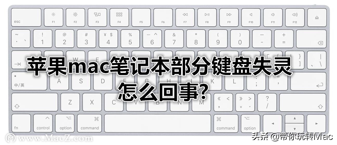 苹果电脑option键和control键失灵,mac电脑某些按键失灵怎么办