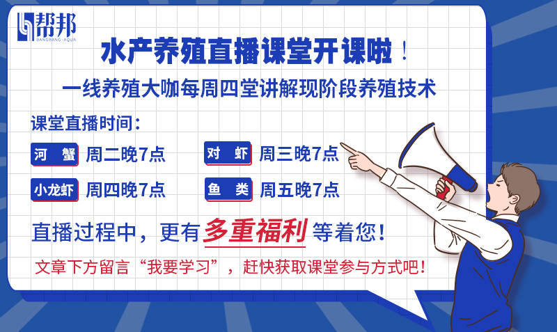 水产养殖经常见的虫子有哪几种,水产养殖小白虫叫什么虫