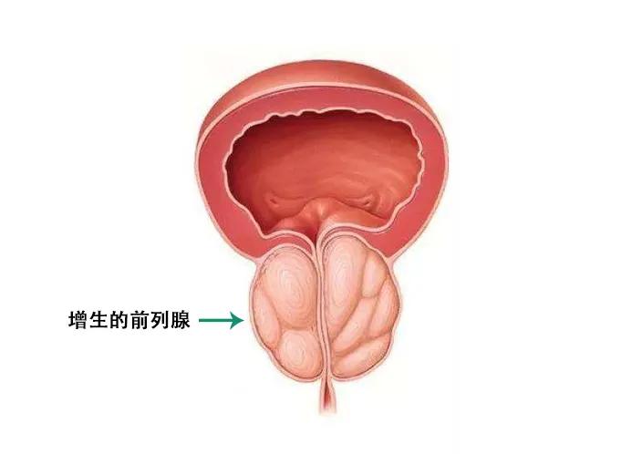 能将男性送上巅峰高潮的它，到底有多神奇？