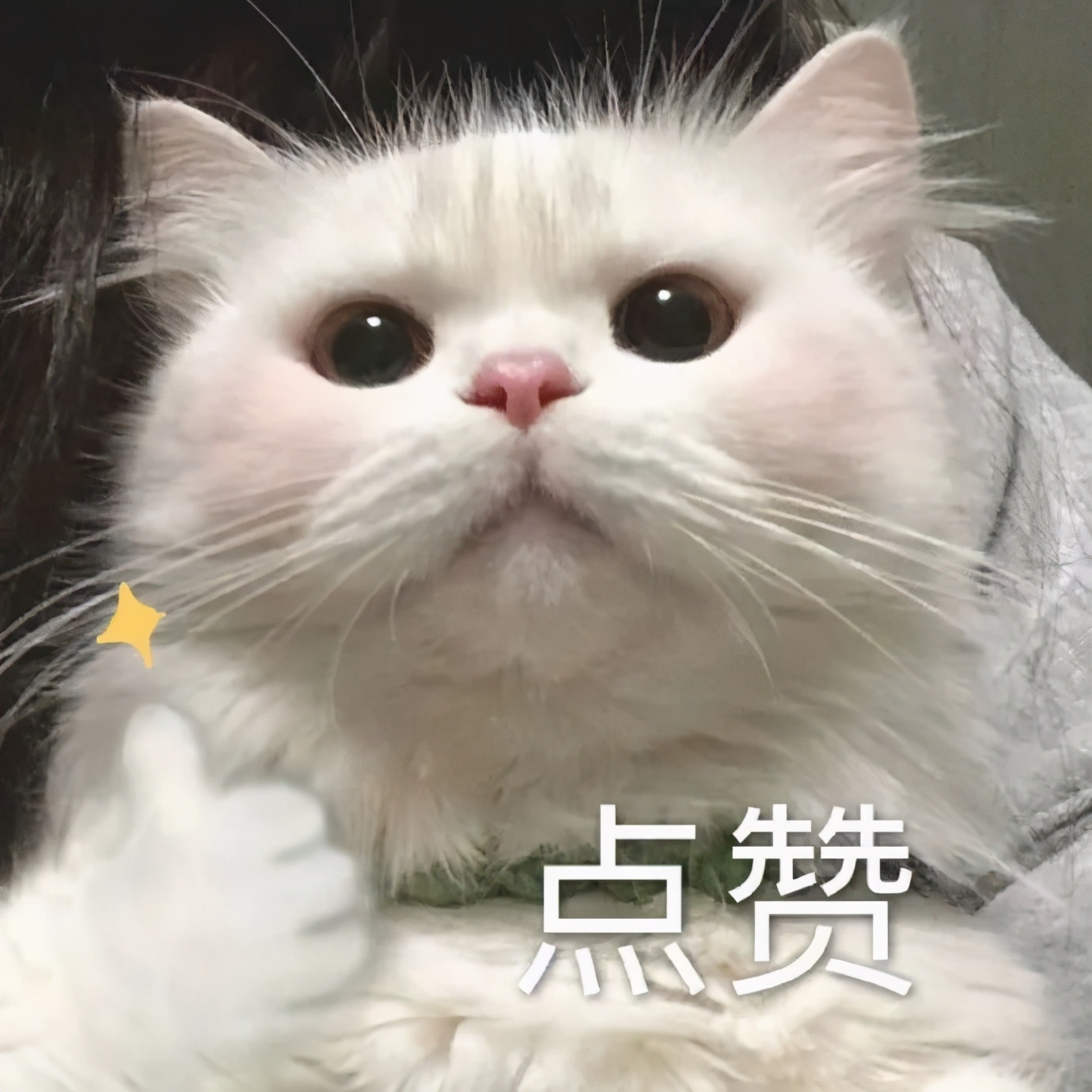 财务干货分析方法,财务风险洞察从流程到科目附案例