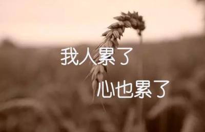 总觉得自己受够了苦应当很幸福,时常觉得自己好累的人