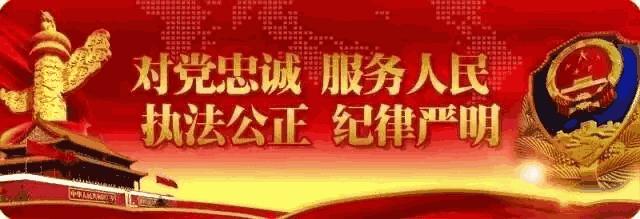 脑回路清奇女子,脑回路清奇