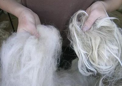 羊驼毛和羊绒哪个高档,一线品牌羊驼毛