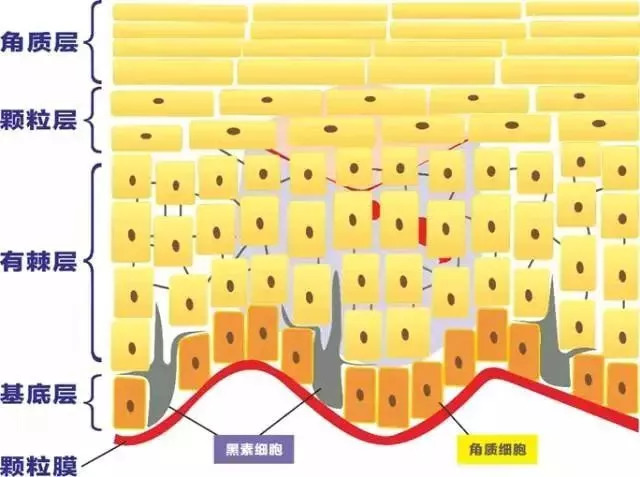去黑头去角质慕斯,3分钟祛除黑头