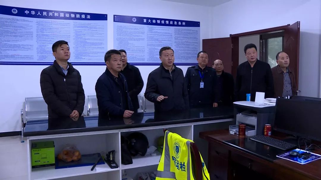放心！我县未出现非洲猪瘟疫情