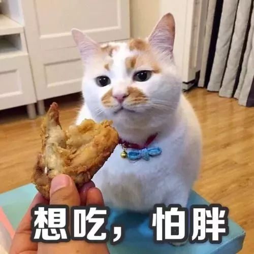 今天灌云温度,今天你穿秋裤了吗可爱图片