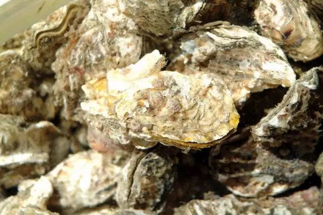璐濈被娴烽矞鎬庝箞娓呮礂,娴烽矞璐濈被鎬庝箞娓呮礂