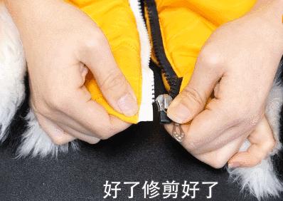 衣服拉链底部插销坏了如何修复,衣服的拉链坏了怎么修复