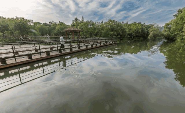 西溪湿地免费区域从哪儿进,西溪湿地免费区域地图