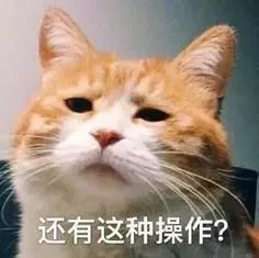 套路贷诈骗案最新案件,公安破获套路贷诈骗案