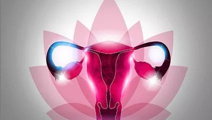 保护“生命摇篮”温暖你的子宫！