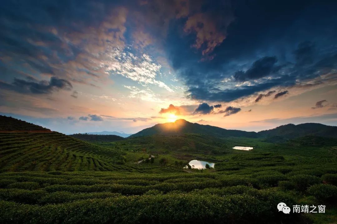 南靖茶旅融合,茶旅融合的风景