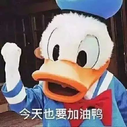 白云超大型村子,白云片区未来规划